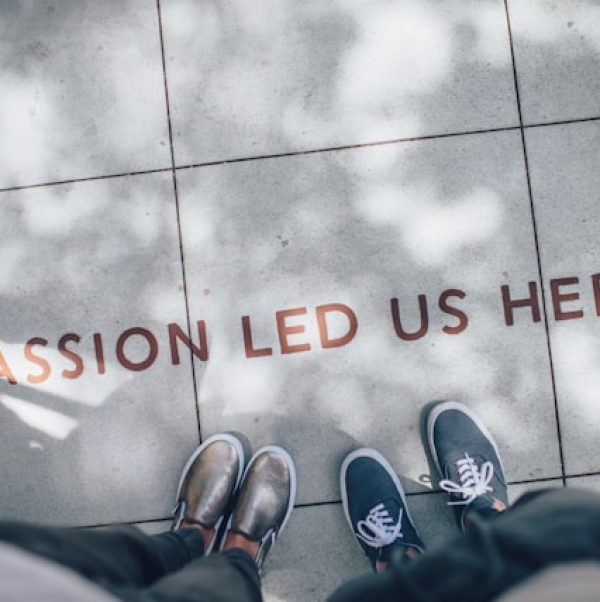 ian-schneider-TamMbr4okv4-unsplash ian-schneider-TamMbr4okv4-unsplash